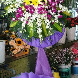 Hoa Viếng 19