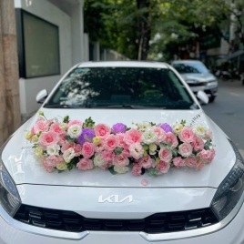Xe Hoa 10