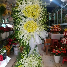 Hoa Viếng 20