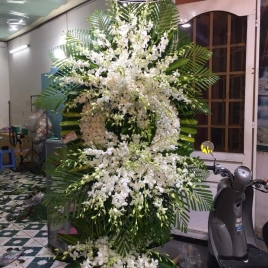 Hoa Viếng 14