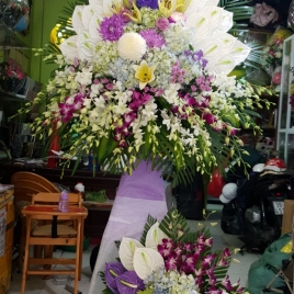 Hoa Viếng 7