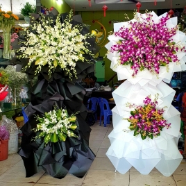 Hoa Viếng 2