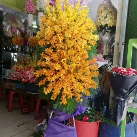 Hoa Viếng 3