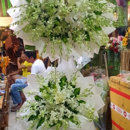 Hoa Viếng 9