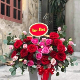 Bình Hoa 3