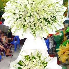 Hoa Viếng 16
