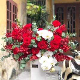Bình Hoa 5