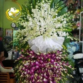 Hoa Viếng 4