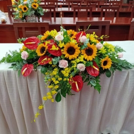 Hoa Đại Hội 17