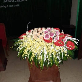 Hoa Đại Hội 13