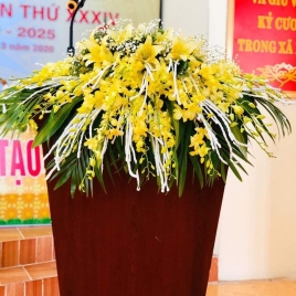 Hoa Đại Hội 11