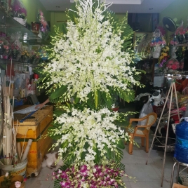 Hoa Viếng 6
