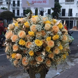 Bình Hoa 14