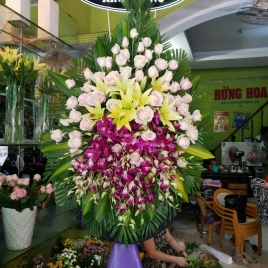Hoa Viếng 18