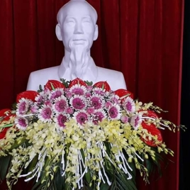Hoa Đại Hội 3