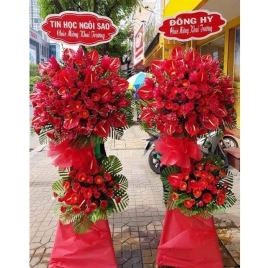 Hoa Khai Trương 19