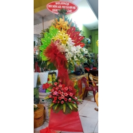 Hoa Khai Trương 13